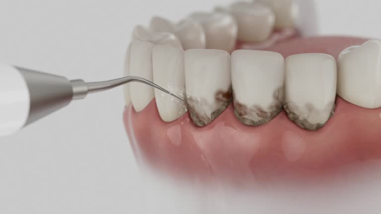 Reliable Dental contractor in Berry Hill, TN by Dentist Open Now